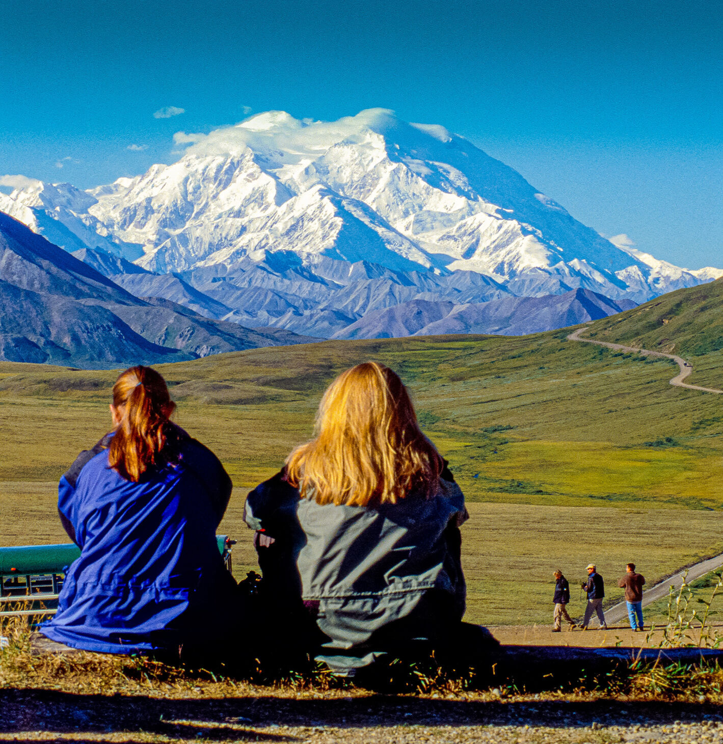 Amazing Denali, also known as Mount McKinley, its former official name, is the highest mountain peak in North America, with a summit elevation of 20,310 feet above sea level.